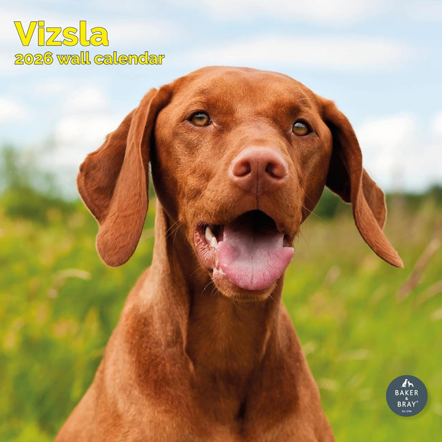 Baker & Bray Vizsla Kalender 2026