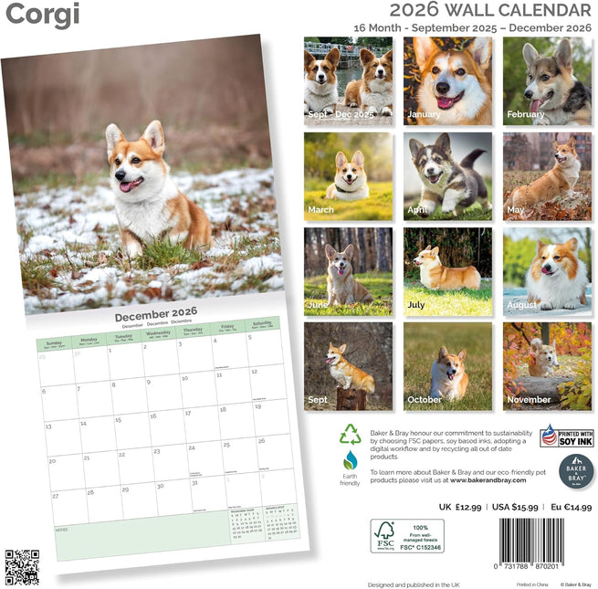 Baker & Bray Welsh Corgi Kalender 2026