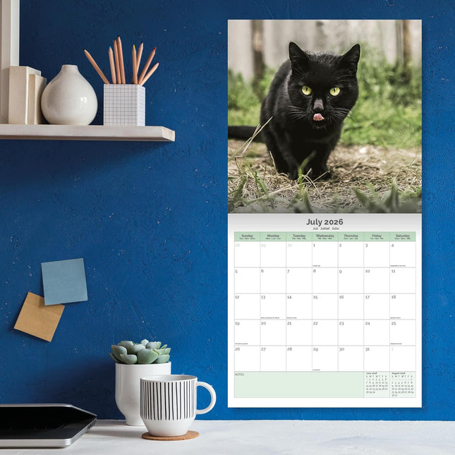 Baker & Bray Zwarte Katten Kalender 2026