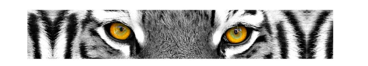 Bambola Wild Power Polsband