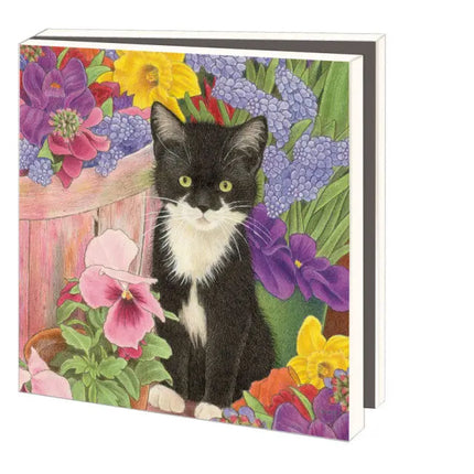 Bekking & Blitz Kaartenmapje Franciens katten, 10 Stuks met Enveloppen