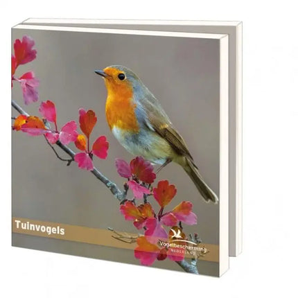 Bekking & Blitz Kaartenmapje met env, vierkant: Tuinvogels, Vogelbescherming Nederland