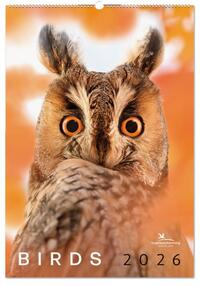 Bekking & Blitz Vogelbescherming Maandkalender 2026