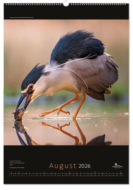 Bekking & Blitz Vogelbescherming Maandkalender 2026