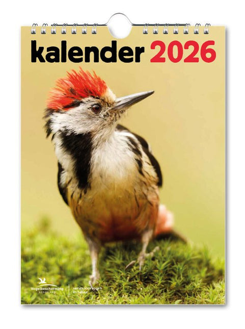 Bekking & Blitz Vogelbescherming Nederland Maandkalender 2026
