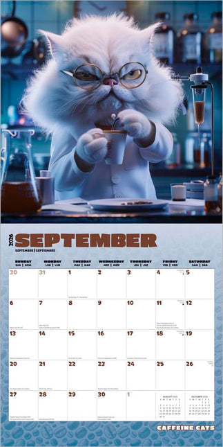 Browntrout Caffeine Cats Kalender 2026