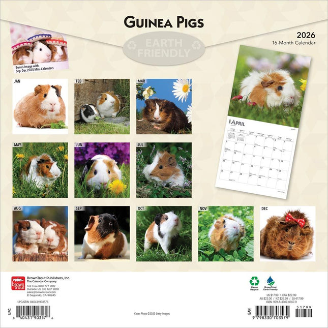 Browntrout Cavia Kalender 2026