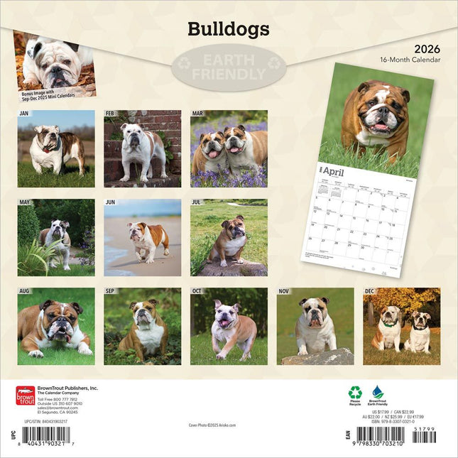 Browntrout Engelse Bulldog Kalender 2026