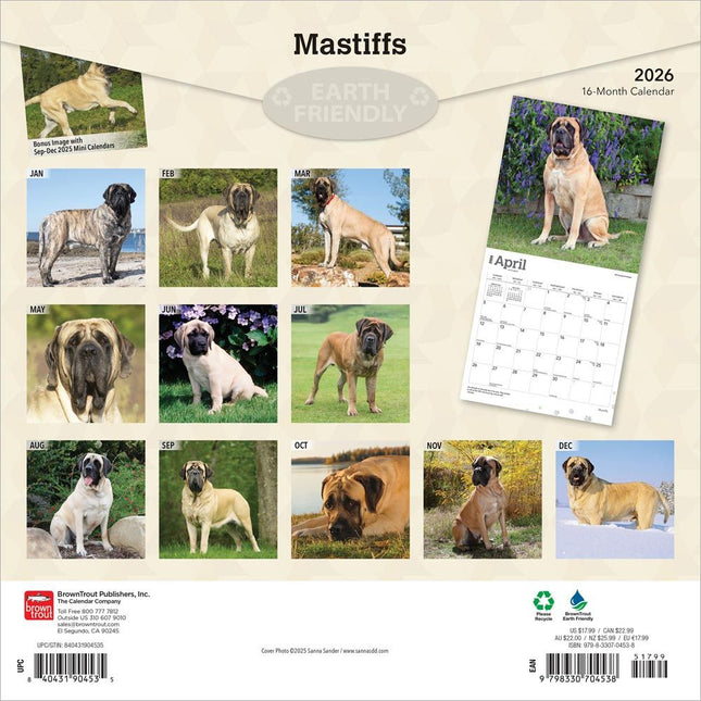 Browntrout Engelse Mastiff Kalender 2026