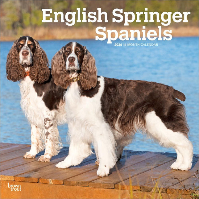Browntrout Engelse Springer Spaniel Kalender 2026