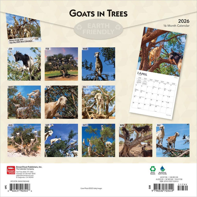 Browntrout Goats in Trees Kalender 2026