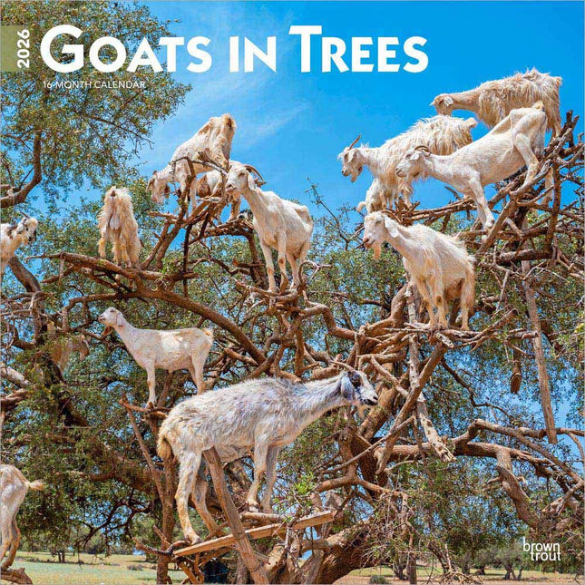 Browntrout Goats in Trees Kalender 2026