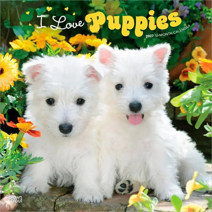 Browntrout I Love Puppies Kalender 2027