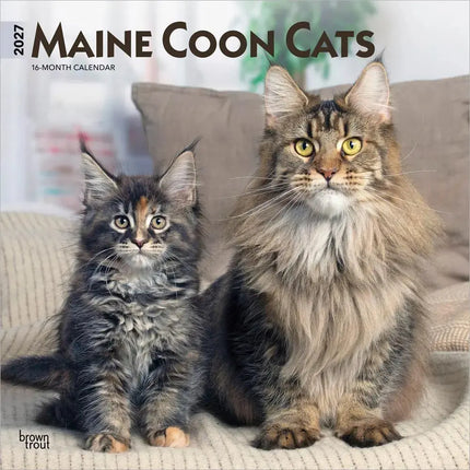 Browntrout Maine Coon Kalender 2027