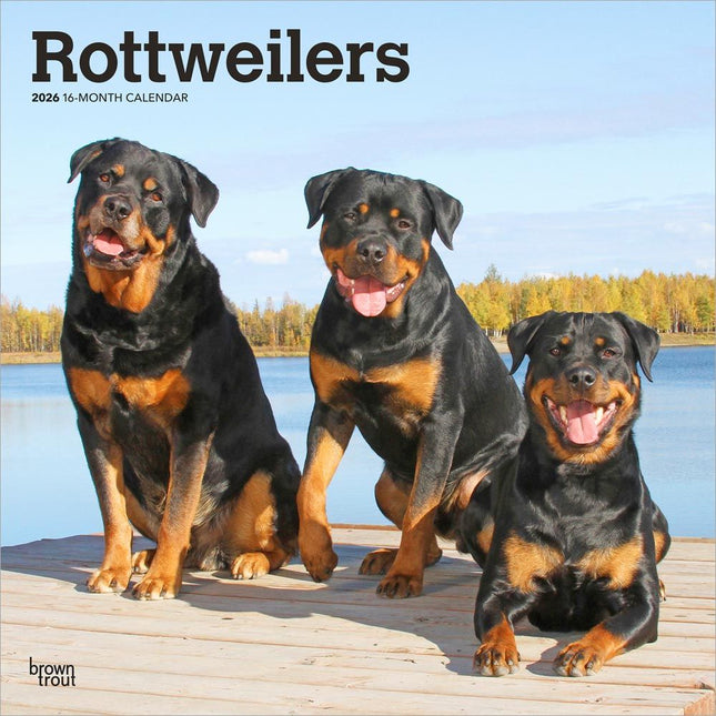 Browntrout Rottweiler Kalender 2026