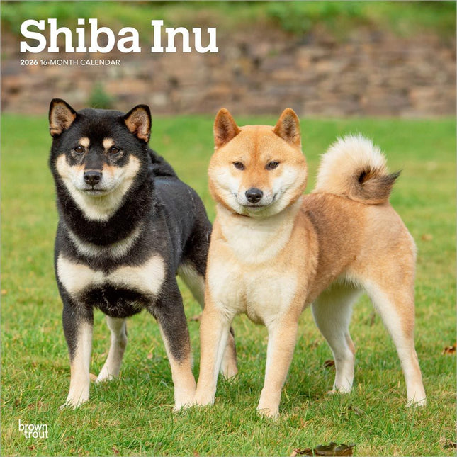 Browntrout Shiba Inu Kalender 2026