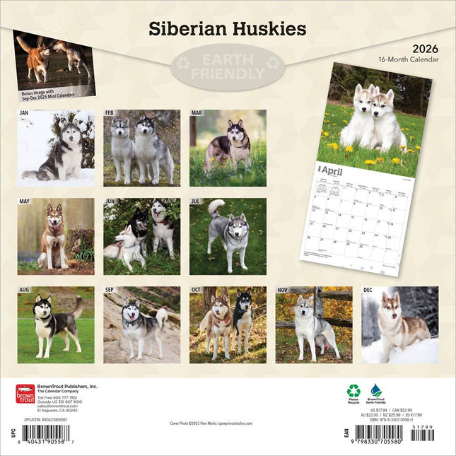 Browntrout Siberian Husky Kalender 2026