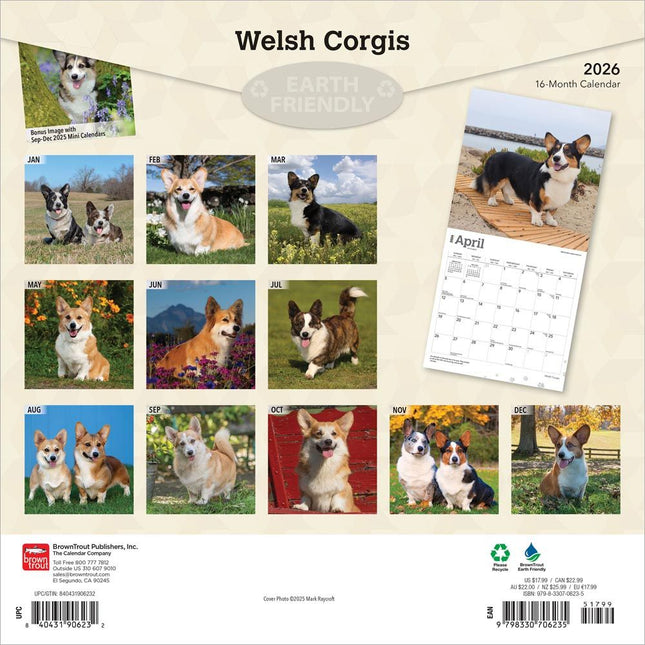 Browntrout Welsh Corgi Kalender 2026