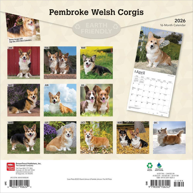 Browntrout Welsh Corgi Pembroke Kalender 2026