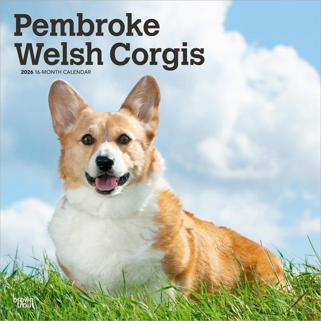 Browntrout Welsh Corgi Pembroke Kalender 2026