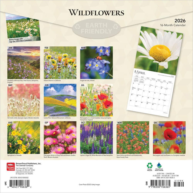 Browntrout Wild Flowers Kalender 2026
