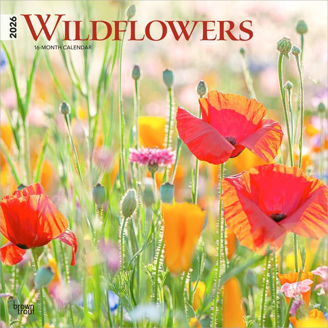 Browntrout Wild Flowers Kalender 2026