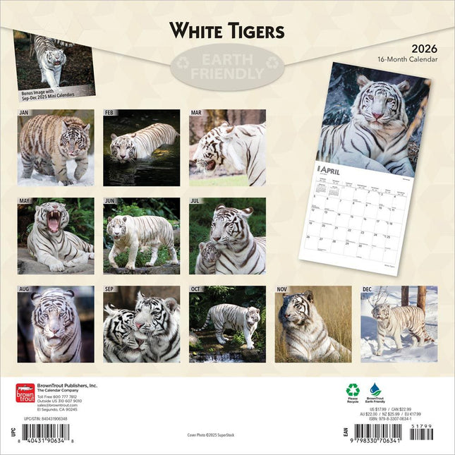 Browntrout Witte Tijger Kalender 2026