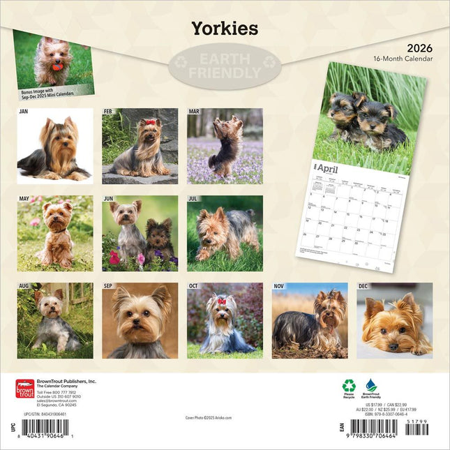 Browntrout Yorkshire Terrier Kalender 2026