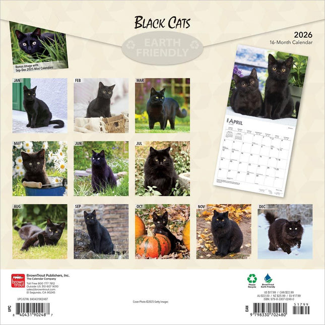 Browntrout Zwarte Katten Kalender 2026