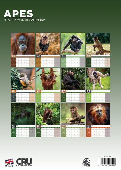 CalendarsRUs Apen A3 Kalender 2026