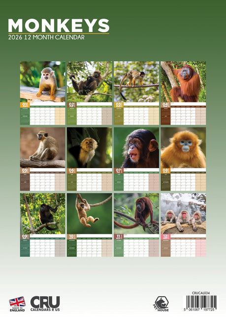 CalendarsRUs Apen A3 Kalender 2026