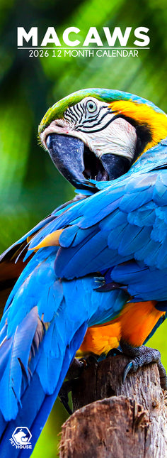 CalendarsRUs Ara's Slimline Kalender 2026