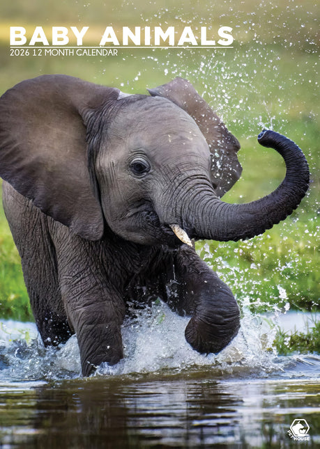 CalendarsRUs Baby Dieren A3 Kalender 2026