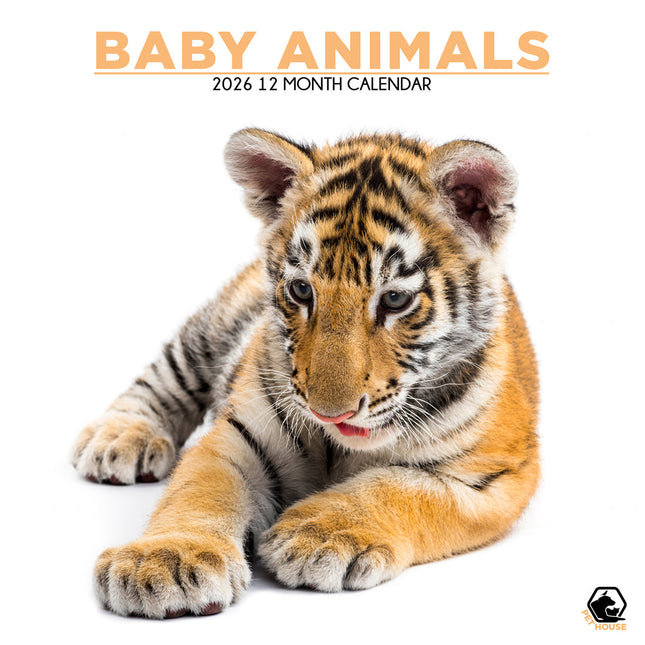 CalendarsRUs Baby Dieren Kalender 2026