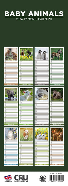 CalendarsRUs Baby Dieren Slimline Kalender 2026