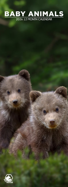 CalendarsRUs Baby Dieren Slimline Kalender 2026