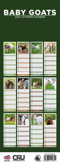 CalendarsRUs Baby Geitjes Slimline Kalender 2026