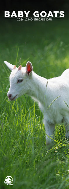 CalendarsRUs Baby Geitjes Slimline Kalender 2026