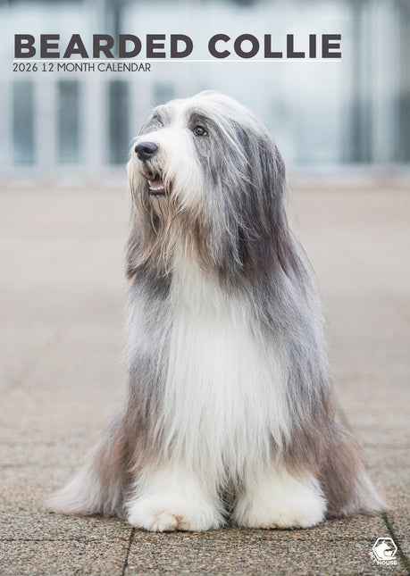 CalendarsRUs Bearded Collie A3 Kalender 2026