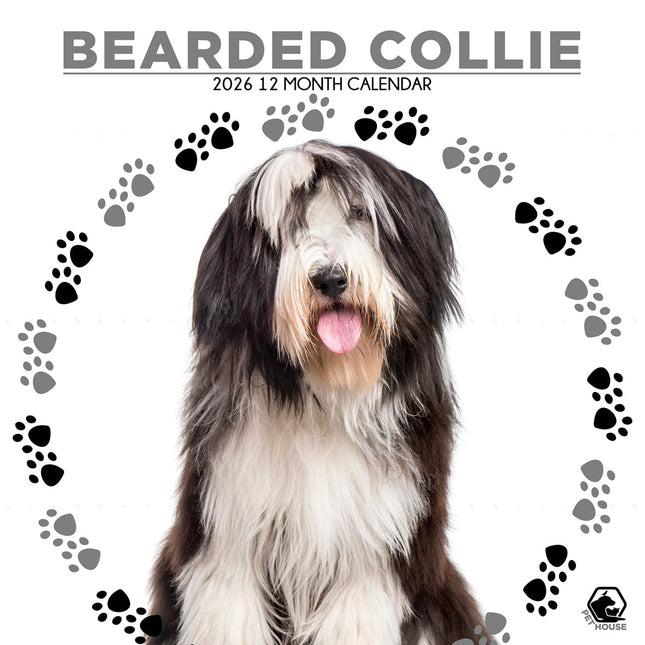 CalendarsRUs Bearded Collie Kalender 2026