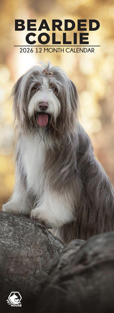 CalendarsRUs Bearded Collie Slimline Kalender 2026