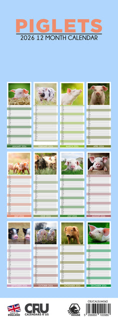 CalendarsRUs Biggen Slimline Kalender 2026