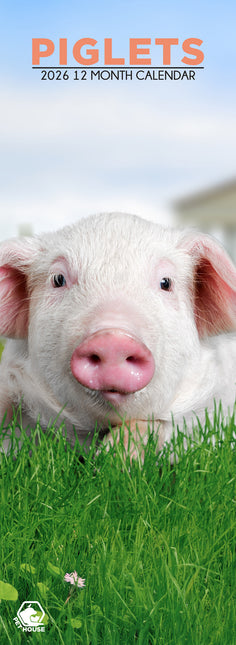 CalendarsRUs Biggen Slimline Kalender 2026