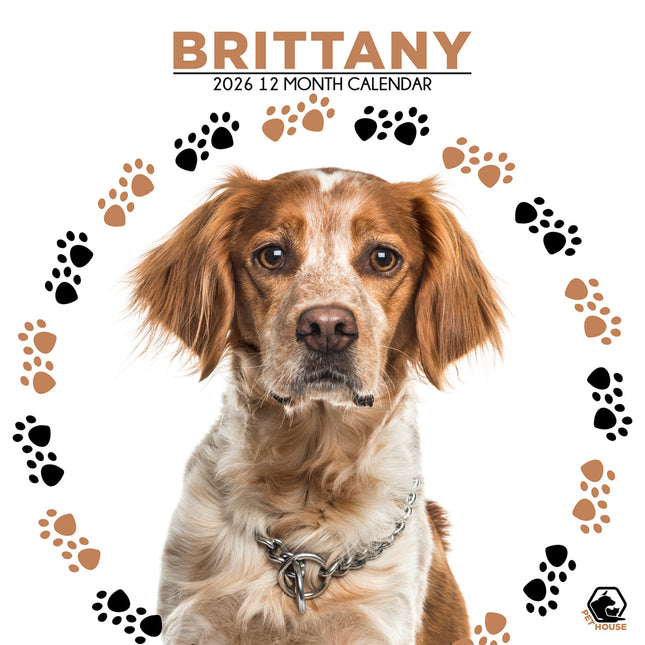 CalendarsRUs Brittany Spaniel Kalender 2026