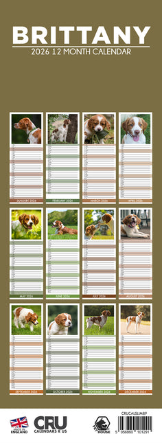 CalendarsRUs Brittany Spaniel Slimline Kalender 2026