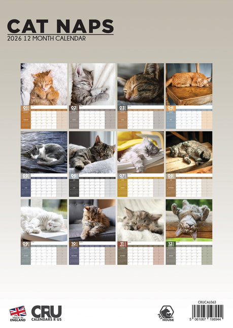CalendarsRUs Cat Naps A3 Kalendar 2026