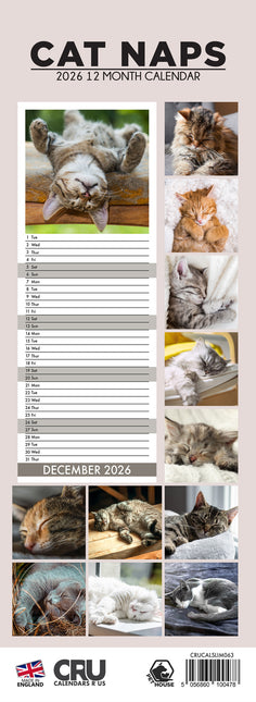 CalendarsRUs Cat Naps Slimline Kalender 2026