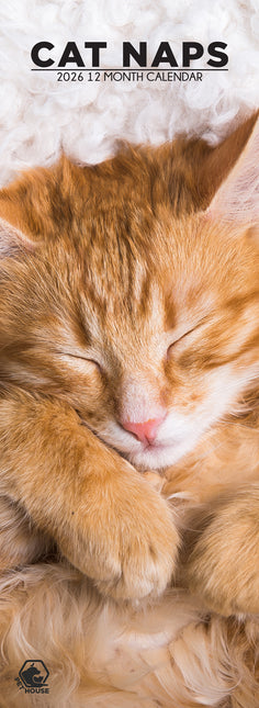 CalendarsRUs Cat Naps Slimline Kalender 2026