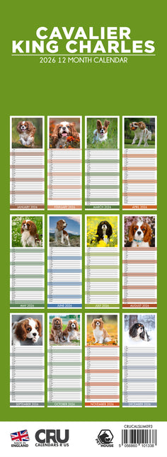 CalendarsRUs Cavalier King Charles Slimline Kalender 2026
