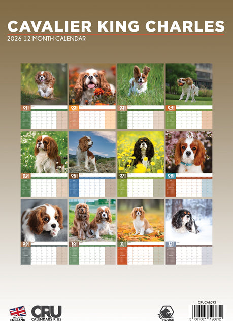 CalendarsRUs Cavalier King Charles Spaniel A3 Kalender 2026